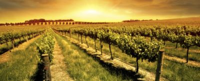 Livermore Valley Wineries 2021
