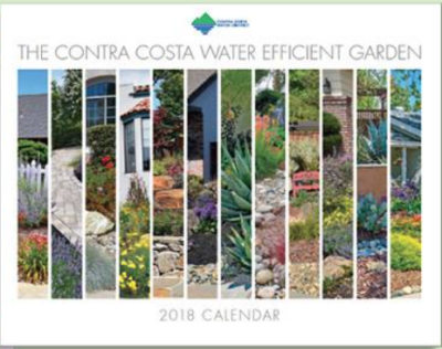 contra costa water efficient garden 2018